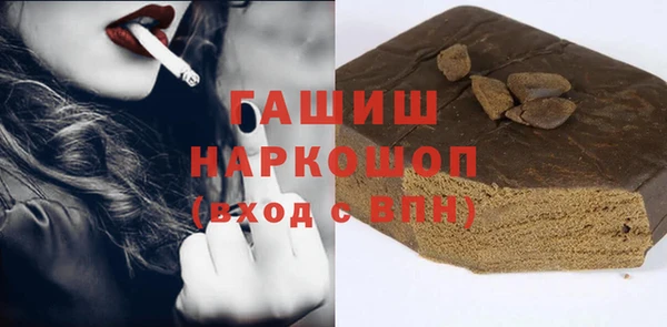 индика Горнозаводск