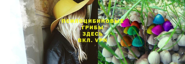 мдма Горняк