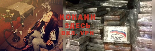 индика Горнозаводск