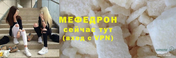 индика Горнозаводск