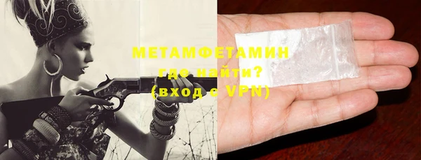 индика Горнозаводск
