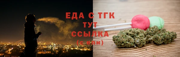 индика Горнозаводск