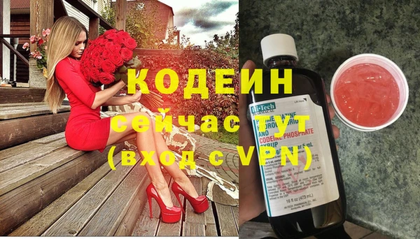 индика Горнозаводск