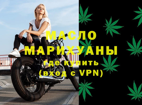 индика Горнозаводск