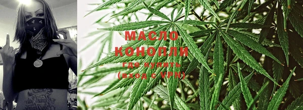 индика Горнозаводск