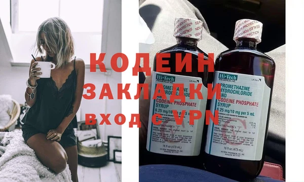 индика Горнозаводск