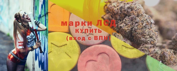 индика Горнозаводск