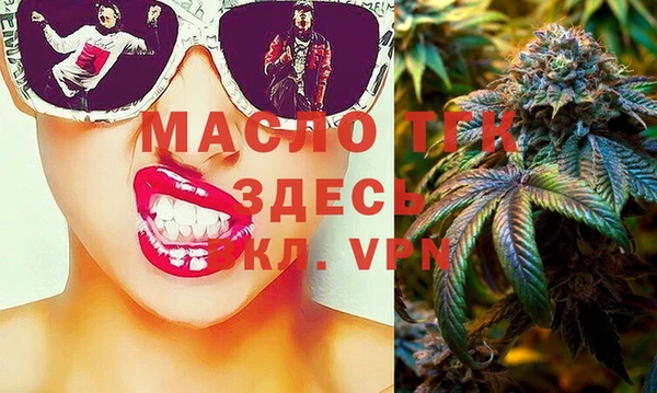 индика Горнозаводск