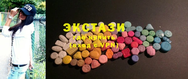 индика Горнозаводск