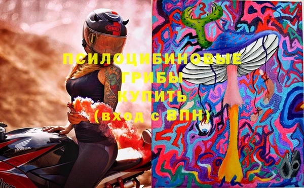 индика Горнозаводск